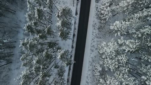 An Aerial View of a Beautiful Snow Covered Road Winding Through a Landscape Enveloped By a Majestic