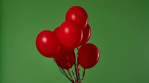 Many Red Balloons Hang in the Air Against a Green Screen with a Chroma Key Effect