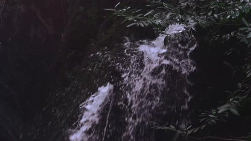Water Pouring Off Rocks on Waterfall Trees in Foreground