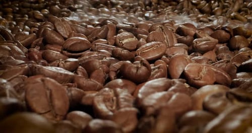 Close up of seeds of coffee. Fragrant coffee beans are roasted smoke comes from coffee beans.