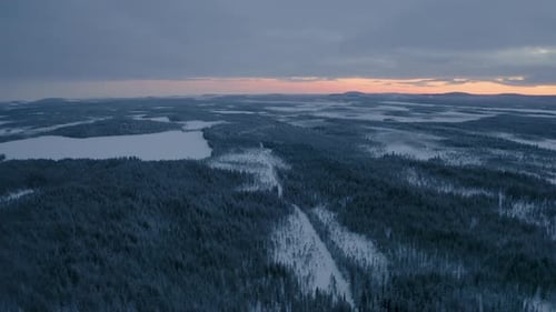 Aerial view rising above vast peaceful Scandinavian winter woodland landscape at dawn