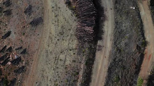 Tas de bois entreposé sur le bord d'une route en gravier dans les montagnes d'Espagne, vue aérienne de haut en bas