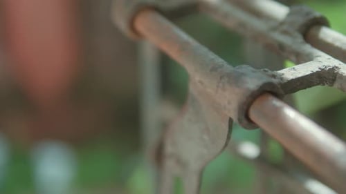 Plan rapproché mettant l'accent sur une charnière en métal rouillé avec une verdure naturelle floue en arrière-plan