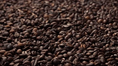 The process of roasting coffee beans. Fresh coffee seeds.