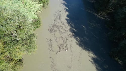 River Pollution with Waste and Trash Causes Ecological Destruction, Environmental Crime