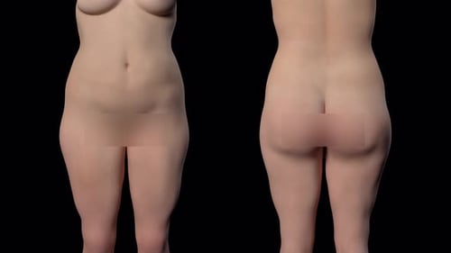 Anatomie du corps humain montrant les vues avant et arrière à des fins de référence médicale