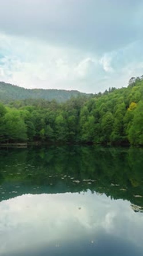 Vertical Forest and Lake 4K
