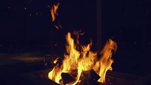 Campfire Flames Burning Brightly at Night