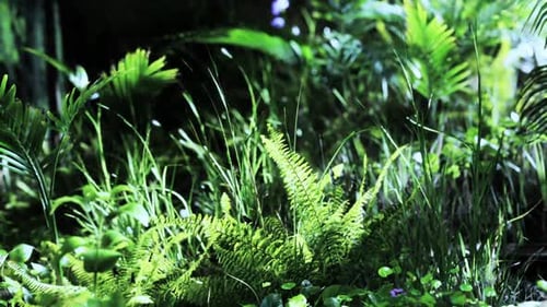Lush Green Ferns and Plants Swaying in Nature