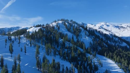 Snowy Mountain Range Pine Trees Aerial View Winter