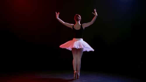 Graceful Ballerina Performing Elegant Ballet Dance Moves