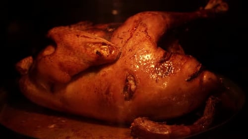 Roasting whole turkey in an oven for family thanksgiving dinner, baking chicken