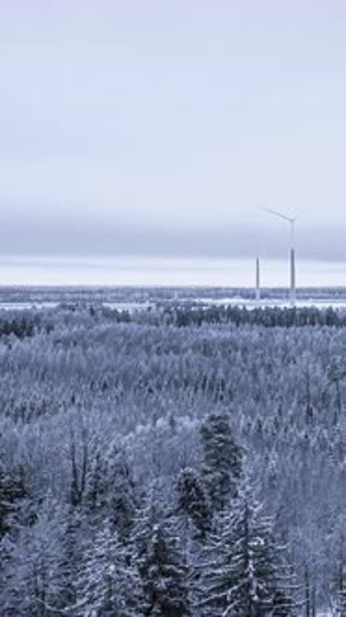 Serene Hyperlapse of Snowy Forest with Still Windmills