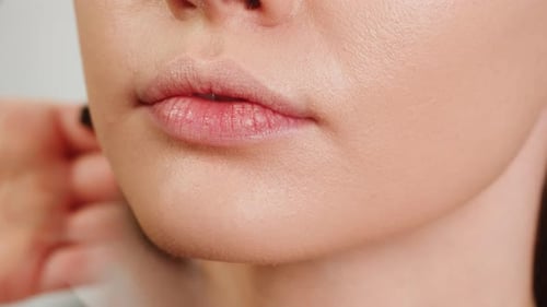 Beauty Shot of Woman Makeup Artist Applying Foundation Bb Cream on Previously Applied Moisturizing