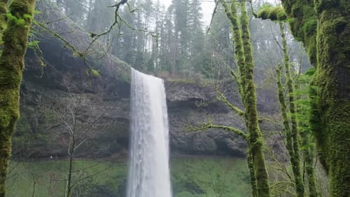 Wasserfall im Wald