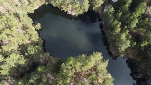 Lake surrounded by trees. Beautiful landscape in aerial drone shot.