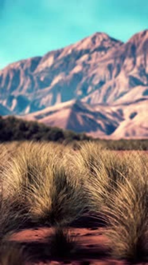 Desert Landscape With Distant Mountains