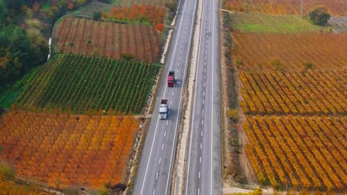 Trucks on Highway Through Rural Farmland