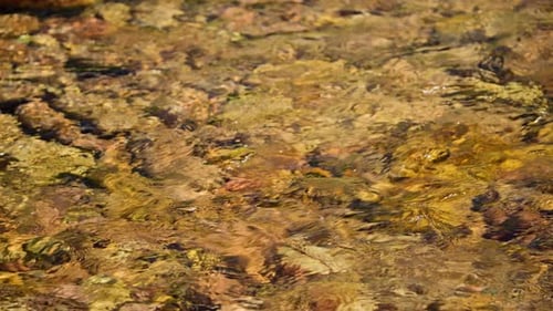 Piedras en el fondo de un río de montaña