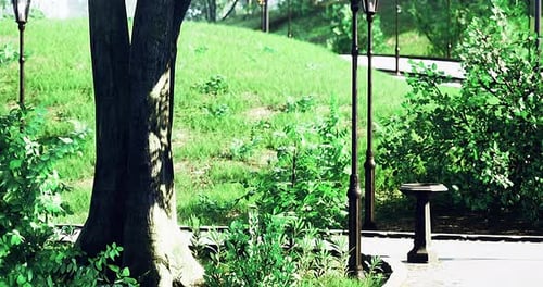 Vibrant Park Scenery Showing Greenery Paths and Lampposts in Bright Sunlight