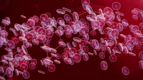 Red Blood Cells