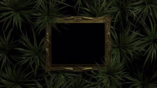 Marco de fotos vintage cubierto por plantas de araña en Alpha Channel