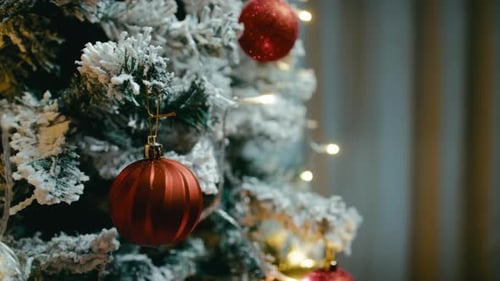 Red Balls on the Branches of a Christmas Tree in a Room at Home