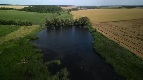 Lake Near Green Corn Field In Ukraine Aerial View Of Farmland