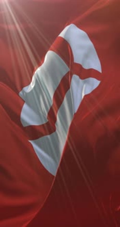 Dynamic Fluid Waving Crescent Symbol Vertical Motion