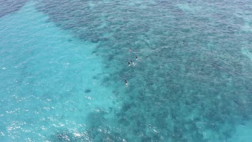 Snorkelers Swim in Tropical Ocean from Above