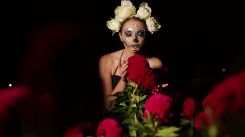 Model dressed in catrina costume, modeling in the middle of a velvet flower field