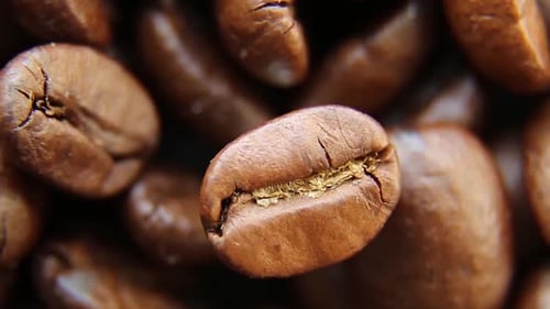 Macro Close Up of Roasted Coffee Beans