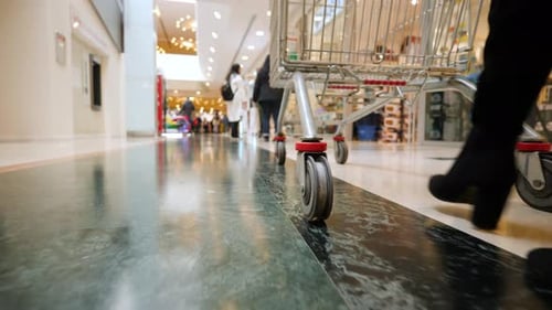 Woman Pushing Shopping Cart Through Crowded Mall