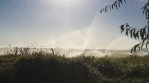 Irrigation Sprinklers Watering Crops on Sunny Day