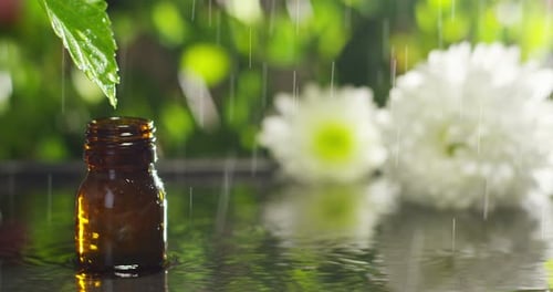 mistura de óleos essenciais com gotas de água, aromas e aromas em aromaterapia para bem-estar e spa.
r