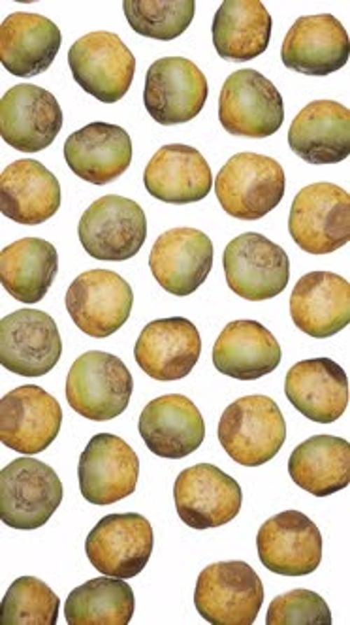 Organic Green and Brown Fruits Falling Animation