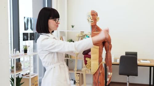 Smiling Female Doctor with Anatomy Model in Medical Office
