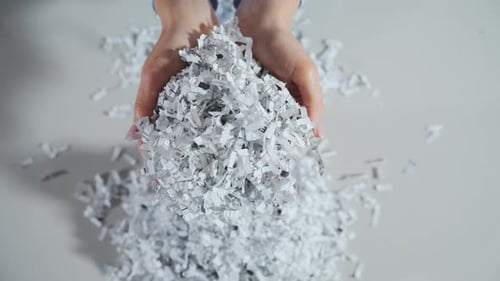 Top Down View of Shredded Paper Office Documents in Worker Woman Hands Close Up