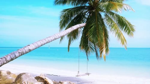 Tropical Palms Sea and Beach
