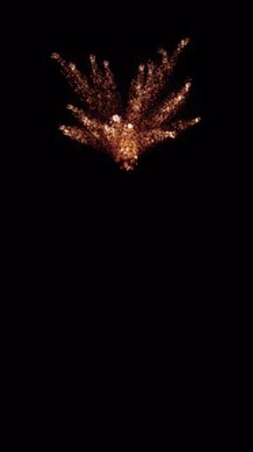 Dynamic Particle Explosion Reveal Transition