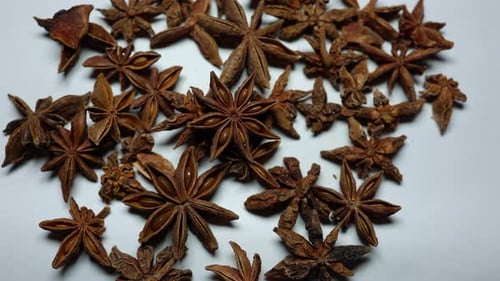 fresh isolated star anise close up on white background studio shot