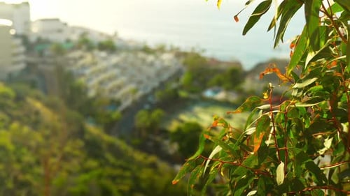 Silhouette of coastal Tenerife island town on sunny day, static view
