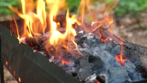 Vibrant Orange Flames Dancing Over Burning Wood and Coal in Metal Grill Generating Warm Ambiance for