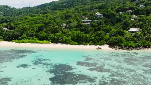 Tropical Beach with Lush Greenery and Clear Water Seychelles Mahe