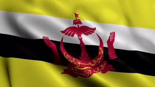 Brunei Darussalam National Flag Waving Motion