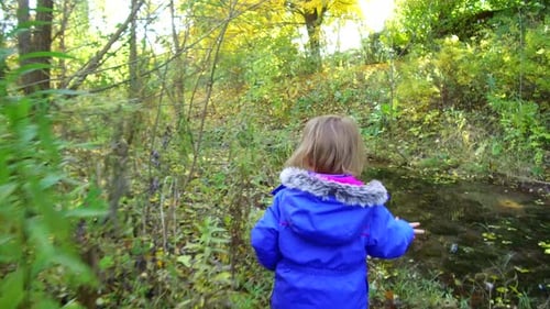 Following a curious little girl as she wanders through a forest and along a stream on a cool, autumn