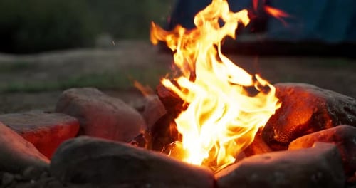 Lagerfeuer, Holz und Flammen oder Nahaufnahme mit Camping zum Grillen, Anzünden und Reisen im Wald