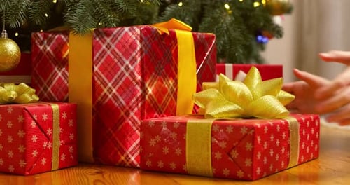 Red and Gold Christmas Gifts Under Tree
