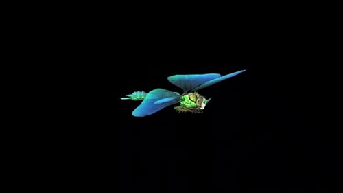 Blaue Libelle Die Idle