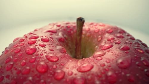 Close-up of Juicy Apple with Stem and Water Drops